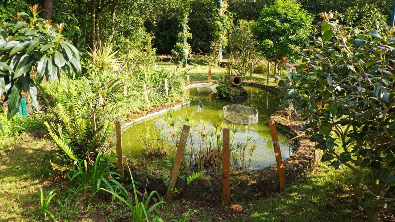 Quinta Dos Aromas Homestay Lagoa (Azores)